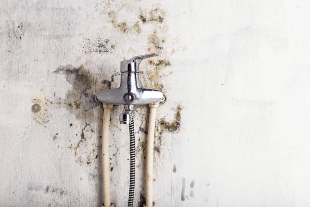 Best Certified Mold Removal  in Kalaeloa, HI