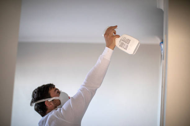 Best Mold Damage Repair  in Kalaeloa, HI