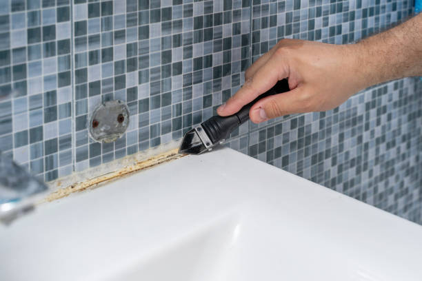 Best Mold Removal and Inspection  in Kalaeloa, HI