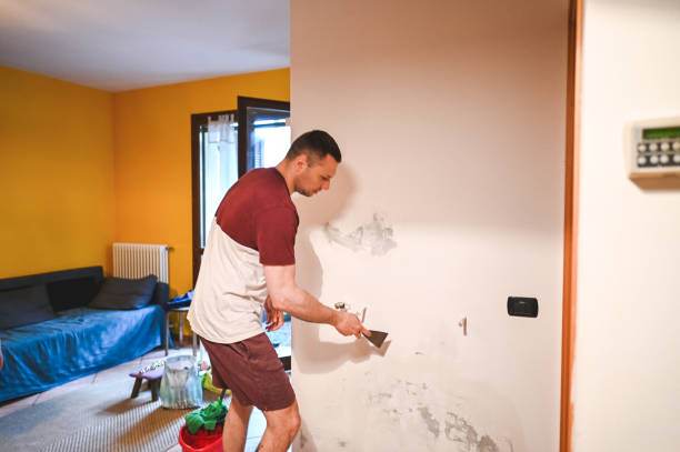 Best Attic Mold Removal  in Kalaeloa, HI